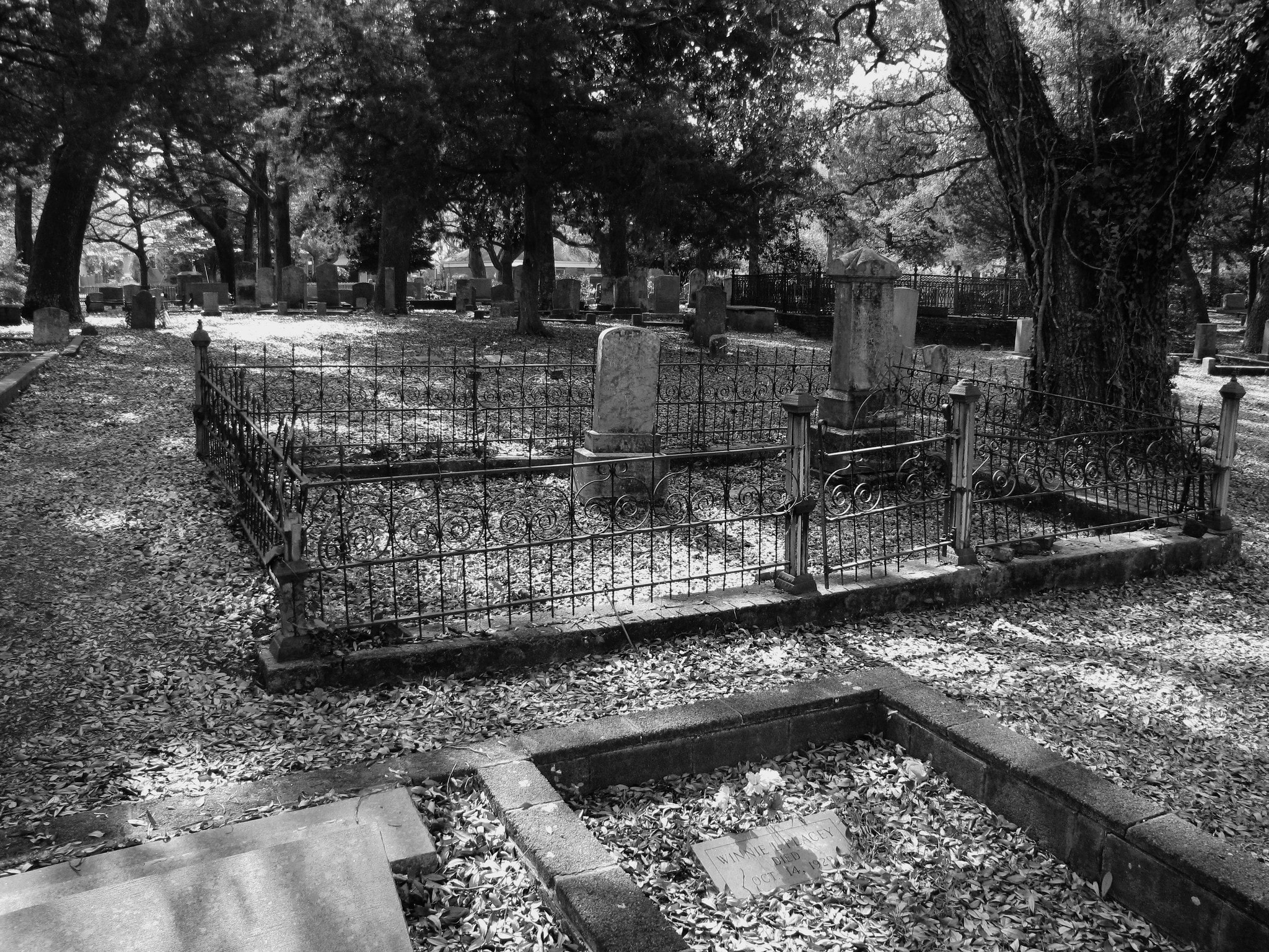 The Old Smithyville Burying Ground. Photo by Gerry Dincher via flickr